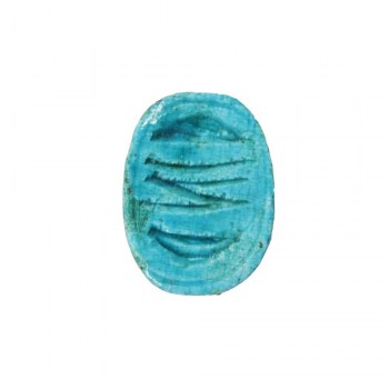 escarabajo-azul ref.96180-2